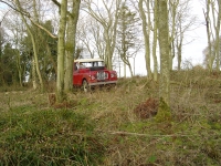  got the log rover into the woods behind the trees